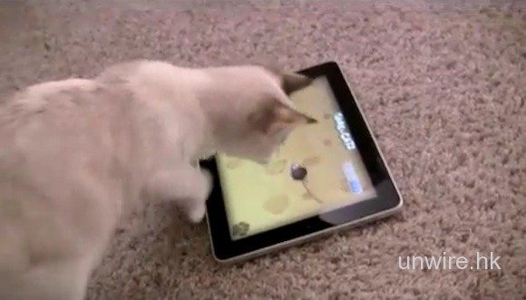 專為貓而設的iPad遊戲