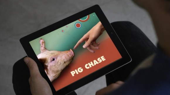 荷蘭大學研究用iPad和真豬玩遊戲