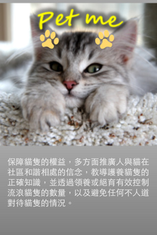 [iOS] 一按領養可愛貓貓 《香港群貓會》