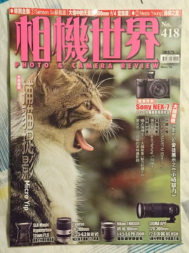 雜誌封面靚貓 – 背後的故事