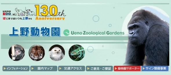 東京上野動物園 130 週年  網上直播熊貓生活