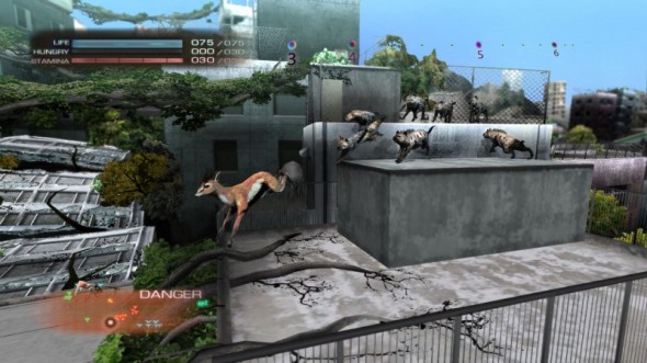 得意松鼠狗PS3大戰「狼豬」！
