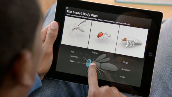 傳iPad Mini主攻電子書 將與iBooks 3.0一同登場