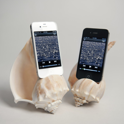 聽海！天然貝殼變 iPhone 揚聲器