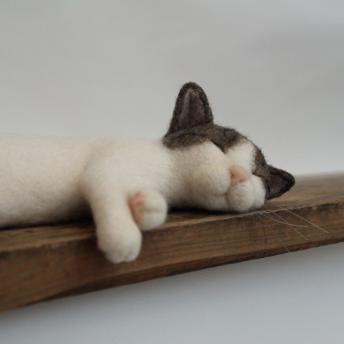 喵~超可愛~真的一樣！日本手製羊毛氈貓喵