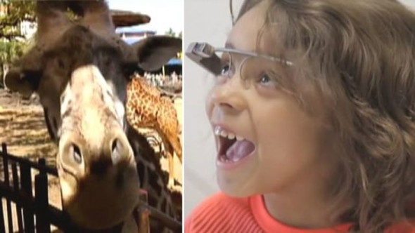 妙用新科技  病童用 Google Glass 遊動物園