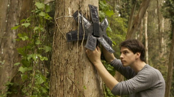 打擊非法砍伐  舊手機改裝守護熱帶雨林