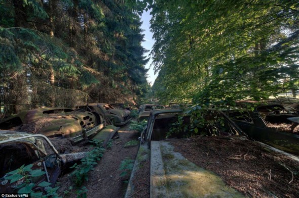 鋼鐵的墳墓：隱藏在比利時森林內的廢車場