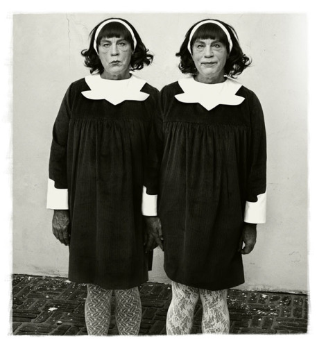 Diane_Arbus___Identical_Twins_Roselle_New_Jersey_1967_2014