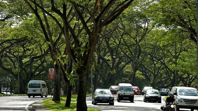 新加坡立法容許車主取酬接載乘客