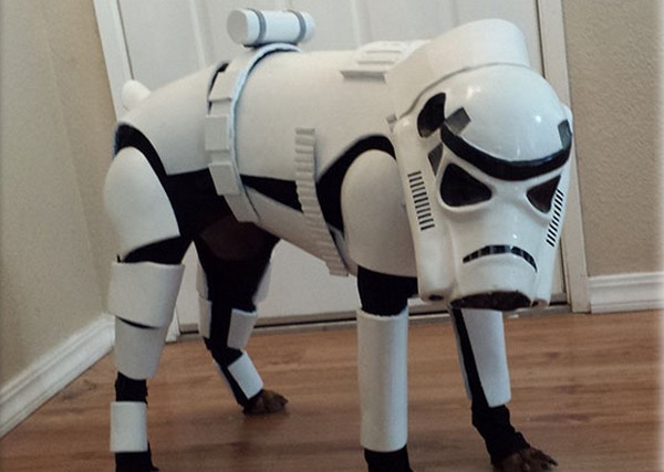 寵物都可 Cosplay！高手 DIY 自製超有型星戰白兵犬裝甲