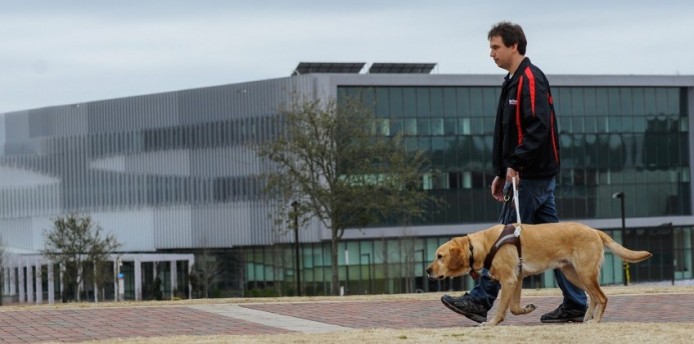 偵測導盲犬身體狀況   專用健康追蹤器登場