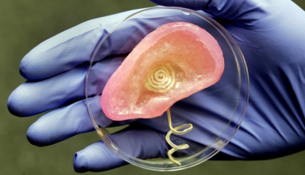 器官移植重大突破！科學家成功 3D 列印出人類幹細胞