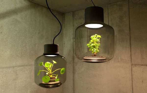 自給自足 Eco System！ 「植物燈」免打理可持續正常生長