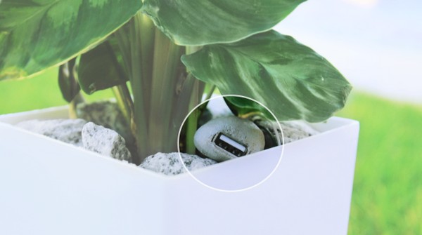 植物都可發電！Bioo Lite 盆栽充電器靠光合作用產生電力