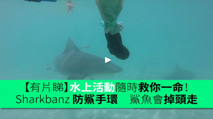 【有片睇】水上活動隨時救你一命！ Sharkbanz 防鯊手環　鯊魚會掉頭走