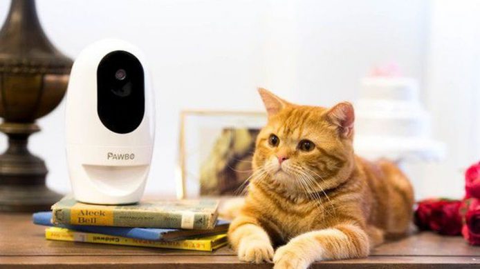Acer 發表 Pawbo+ 監視器   寵物在家唔怕悶