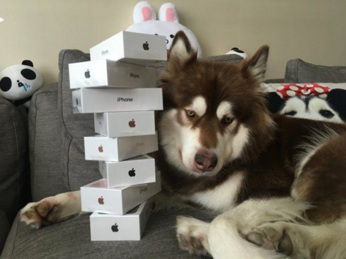 唐言無忌：為乜狗要用 iPhone 7？除了炫富，還有其他原因嗎？