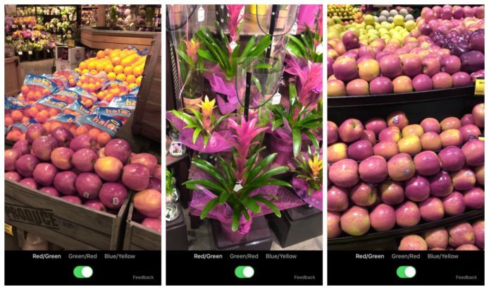微軟研發手機 App 助色盲辨別顏色