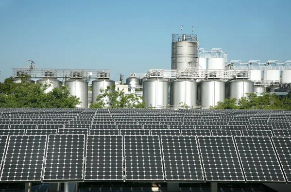 抵消兩成電費！美國 Sierra Nevada 釀酒廠靠 Tesla 太陽能電池生產出更「環保」啤酒