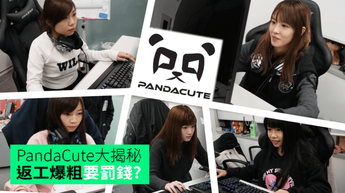 【unwire TV】PandaCute大揭秘 返工爆粗要罰錢?