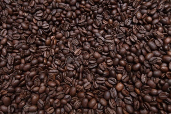 全球變暖帶來惡果！埃塞俄比亞咖啡豆收成嚴重受影響