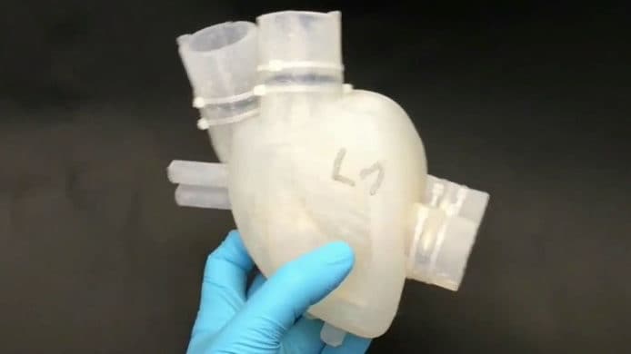 可模擬人類心臟跳動 3D打印機成功製作矽膠心臟