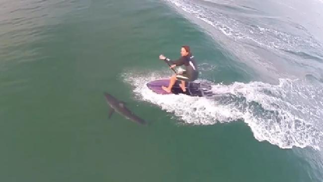 航拍機結合人工智能 澳州海灘監察鯊魚蹤跡