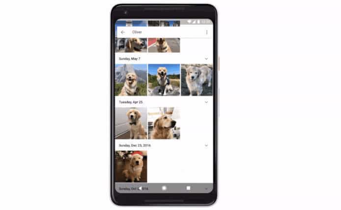 面容辨析能力再提升   Google Photos 可認出寵物