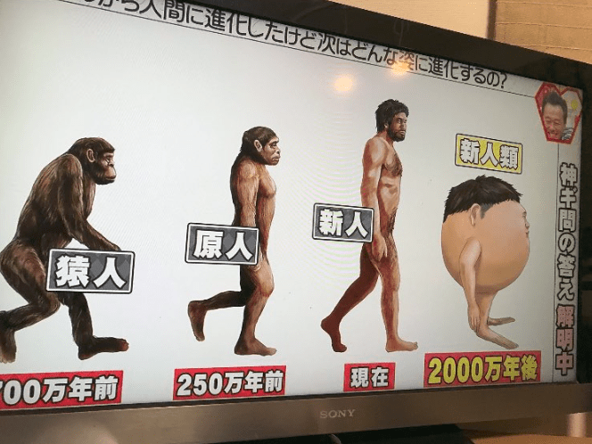 日本預料2000萬年後人類進化成球狀