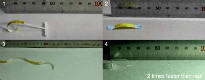 韓國大學開發只用濕氣推動的機械蟲