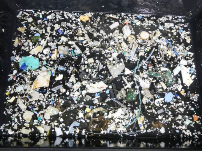 太平洋垃圾帶問題比科學家預期嚴重四倍
