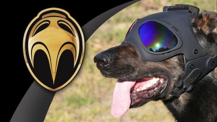 【有片睇】汪星人專用3D打印頭盔　狗狗都變超級英雄　