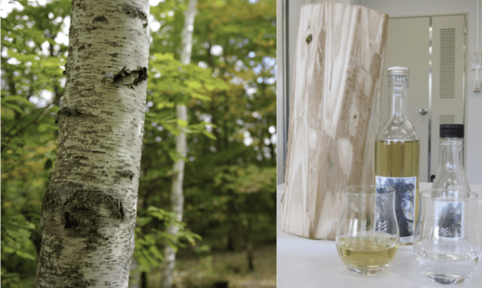 日本研發以樹木製酒　獨特香味可比木桶陳年佳釀