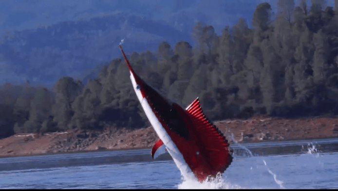 【有片睇】美國製大魚潛艇　Seabreacher 時速可達 96 公里