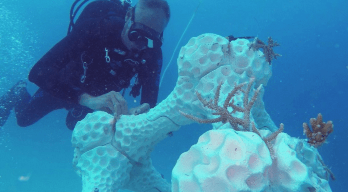 【有片睇】3D 打印人造珊瑚礁　冀恢復海洋生態
