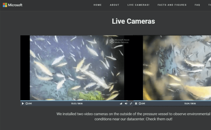 Microsoft 海底數據中心增視像鏡頭　直播海底變睇魚！