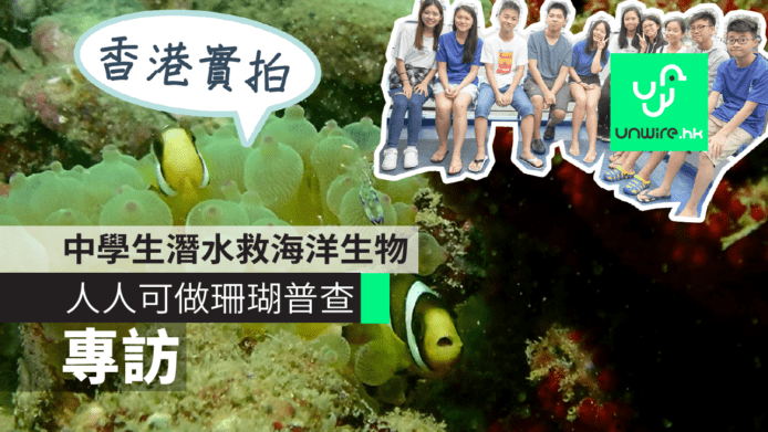 【專訪】香港中學生潛水救海洋生物　人人可做珊瑚普查