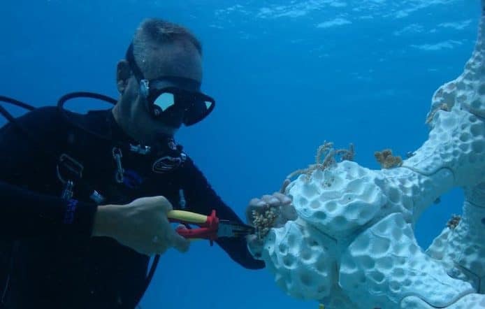 3D 打印技術製作水底支架  協助珊瑚礁再生