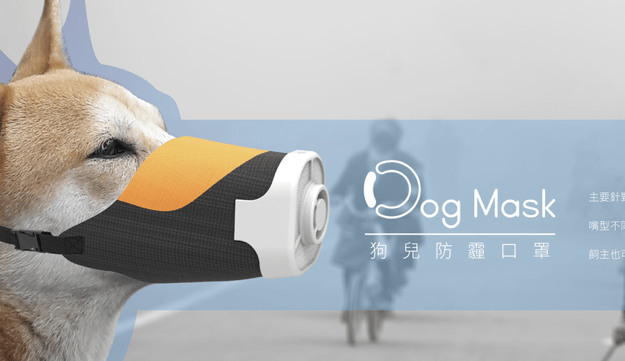 保護狗狗免受 PM2.5 空氣污染　台灣科學家研發寵物用口罩