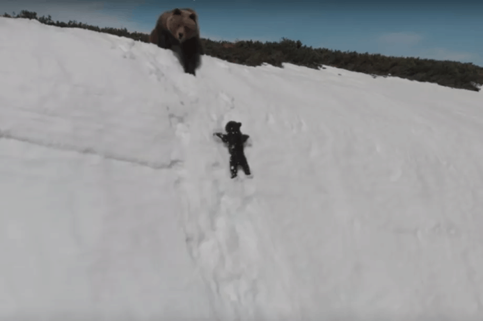 【有片睇】小熊爬雪山險象橫生　全因被無人機嚇親？