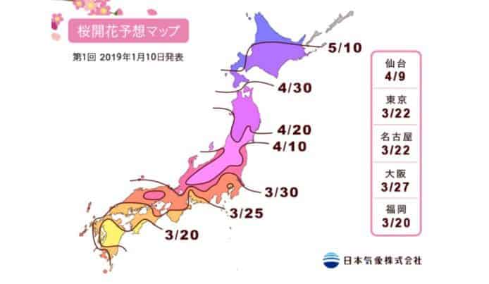日本 2019 櫻花預測   東京花期 3 月 22 日開始