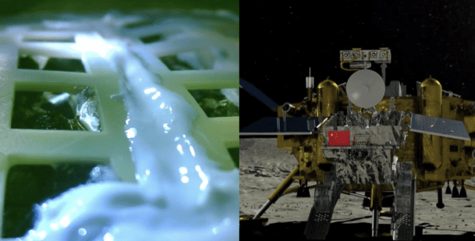 月球上棉花種子發芽　嫦娥4號生物實驗成功