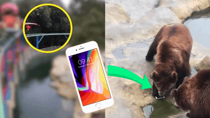 【有片睇】中國遊客誤投 iPhone 餵棕熊　網友：最貴的「蘋果」