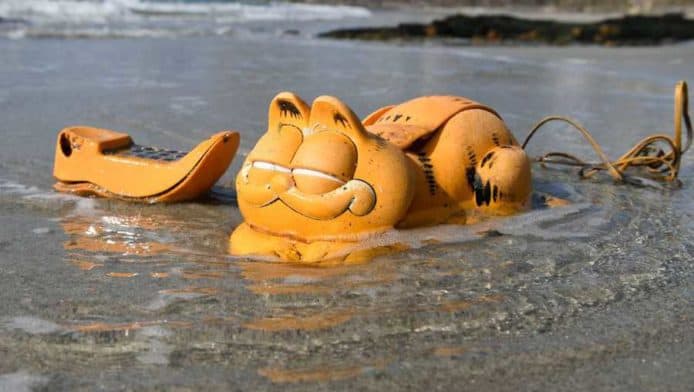 「加菲貓電話」多年不斷沖上法國海灘　35年謎團終被揭曉