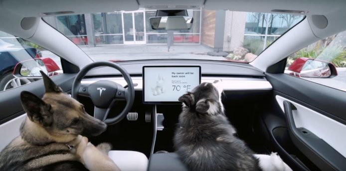 Tesla 「Dog Mode」有致命漏洞   Elon Musk 親自承諾跟進