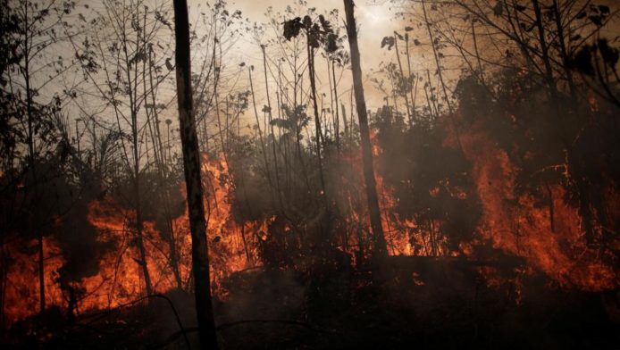 科學家：亞馬遜大火對氧氣供應影響不大　生產全球 20% 氧氣是一種「誤解」