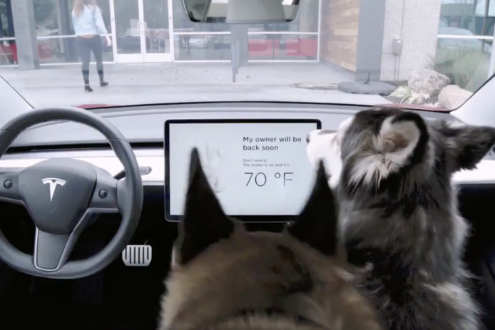 路人不知有 Dog Mode    Tesla 車主被告虐待動物