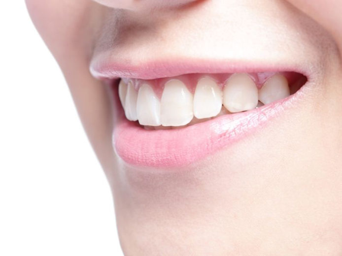 有助未來修復受損牙齒 　科學家發現牙齒生長幹細胞活躍機制