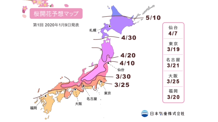 東京最早 3.19 開花   日本發佈 2020 首個櫻花期預測